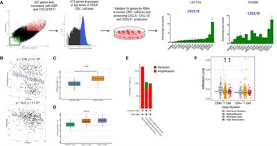 SPATA2 and CYLD inhibit T cell infiltration into colorectal cancer via regulation of IFN-γ/STAT1 axis